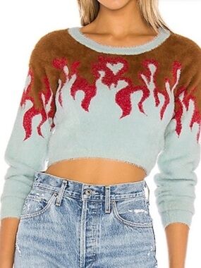 For Love And Lemons Mint Crop Sweater with Brown Yoke and Red Flame